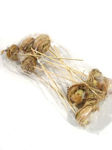 Floristik24 Linnunpesä munilla kepillä 6cm 6kpl