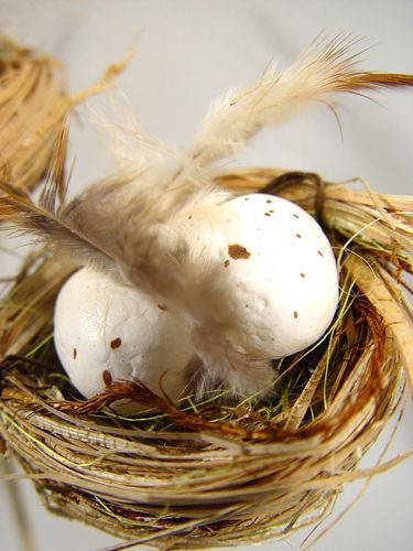 Floristik24 Linnunpesä munilla kepillä 6cm 6kpl