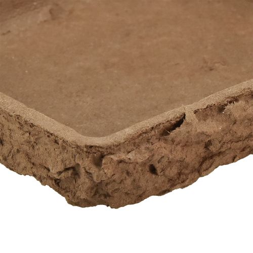 kohteita Oasis Biolit aluskate ½ kukkainen vaahtotiili 13×13×2cm 12 kpl
