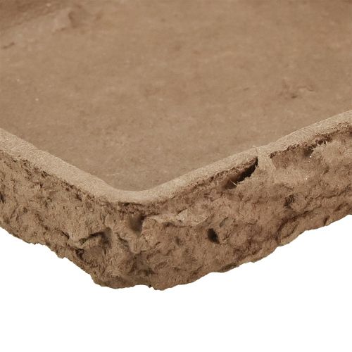 kohteita Oasis Biolit aluskate 2 kukkaiselle vaahtomuovilaatalle 48×13×2cm 7 kpl