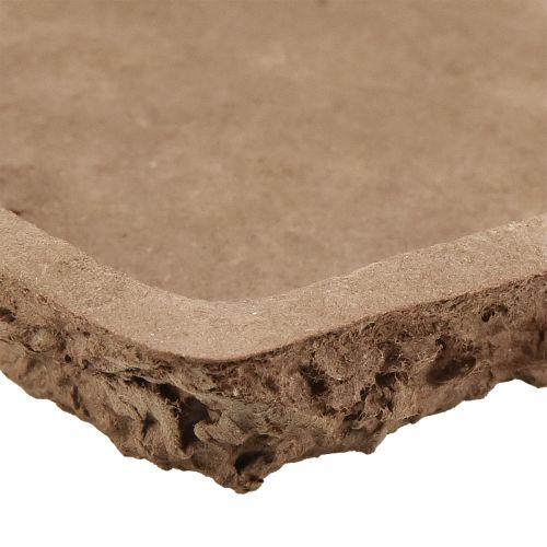 kohteita Oasis Biolit aluskate kukkaisille vaahtomuovitiileille 25×14×2cm 11 kpl