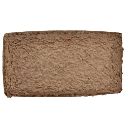 kohteita Oasis Biolit aluskate kukkaisille vaahtomuovitiileille 25×14×2cm 11 kpl