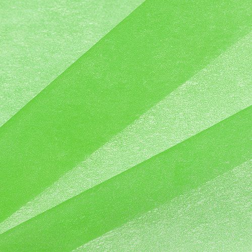 Floristik24 Deco Fleece 60cm x 20m vihreä