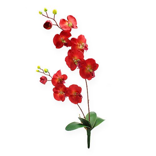 Floristik24 Deco orkidea punainen 68cm