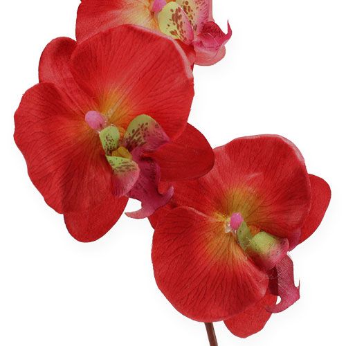 kohteita Deco orkidea punainen 68cm