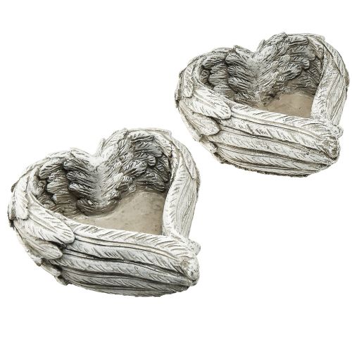 Floristik24 Kasvisydänhöyhenet valettu kivisydän harmaa valkoinen 13×12×6cm 2kpl