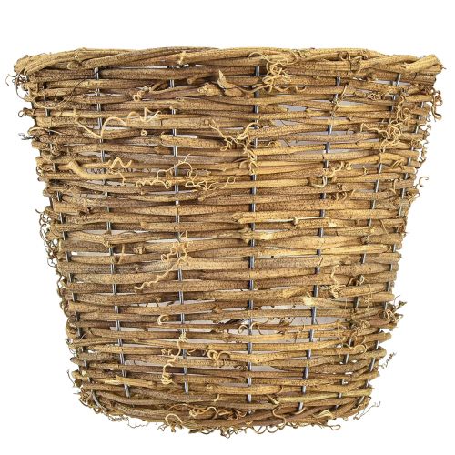 kohteita Kasvikori ruukkuistutuskone luonnollinen viiniköynnös Ø25cm K22,5cm