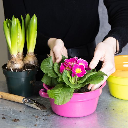 kohteita Metallinen istutusruukku, omaperäinen muotoilu hienostuneisiin asuintiloihin ja tyylikkääseen sisustukseen, 17 cm, 3 kpl