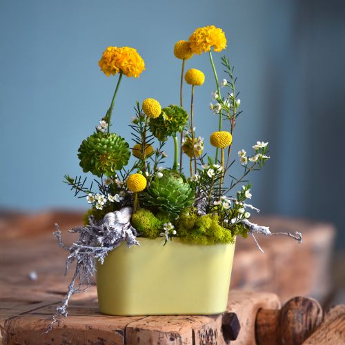 kohteita Kukkakulho soikea keltainen koristekulho muovia 20×10×11cm 3 kpl