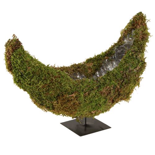 kohteita Kasvikulho pohjalla sammal koristeellinen puolikuu 40×15×30cm