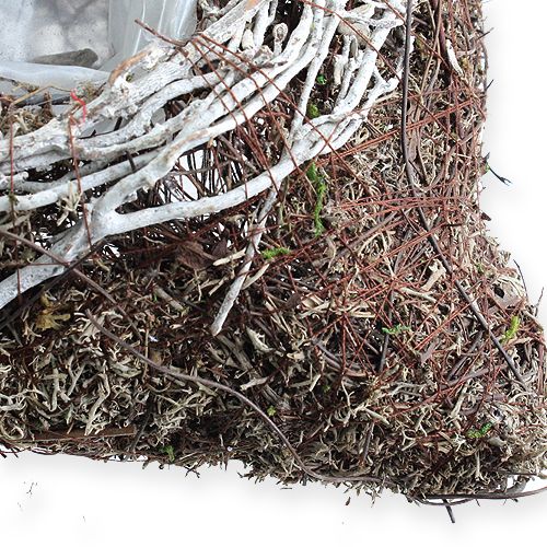 Floristik24 Neliönmuotoinen istutuskulho 20cm x 20cm