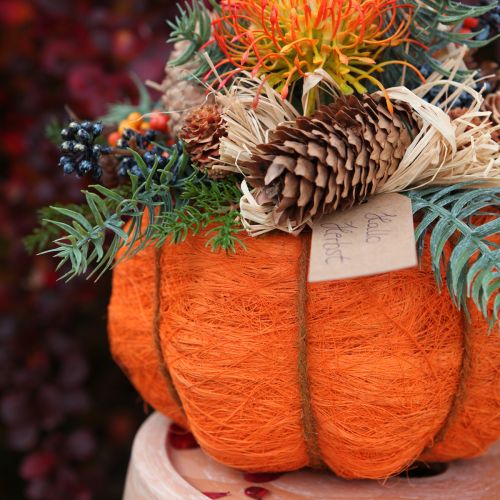 kohteita Ruukkukasvi kurpitsankoriste, oranssi/keltavihreä sisal Ø21cm K12cm