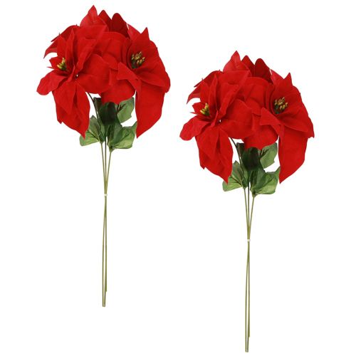 kohteita Upea joulutähti - Joulutähti punaisena - 46 cm 6kpl 2 nippu