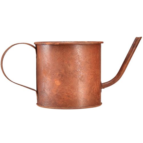 kohteita Ruosteinen koristekastelukannu mini ruukku metalli Ø10cm K9cm