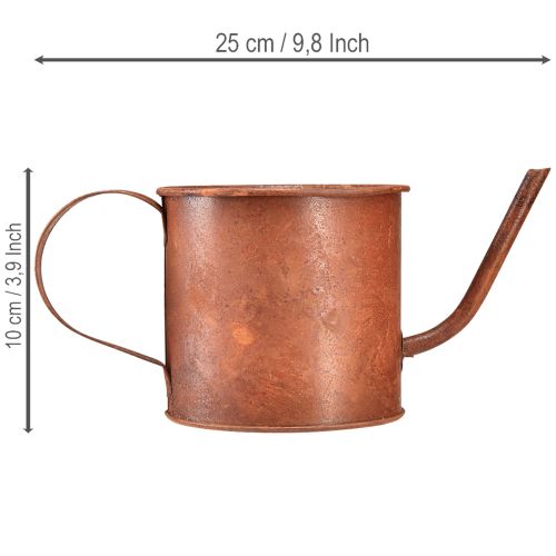 kohteita Ruosteinen koristeellinen kastelukannu, miniruukku, metalli, Ø10cm, K9cm