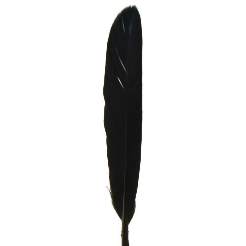 kohteita Mustat höyhenet Koristeelliset Hanhenhöyhenet Mustat 11-14cm 180 kpl