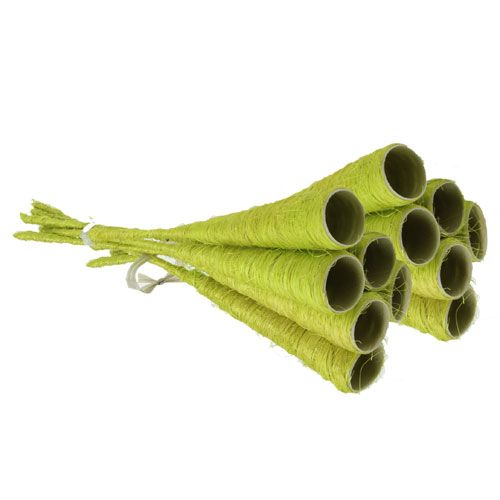 Floristik24 Sisal-suppilo vaaleanvihreä Ø3cm L30cm 12kpl