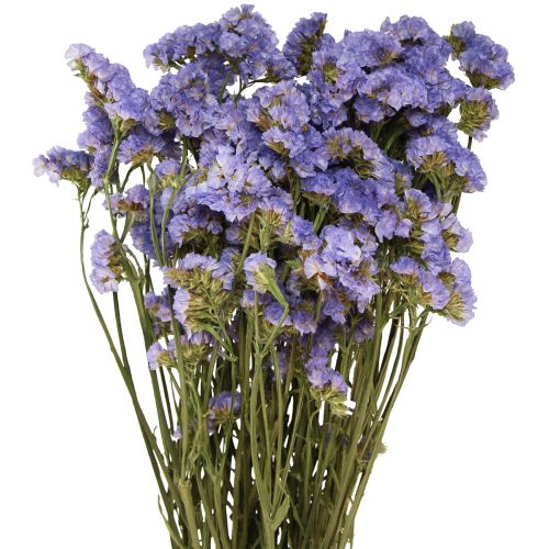 Floristik24 Merilila Purple Statice Limonium sinuatum Kuivatut kukat 60cm 50g