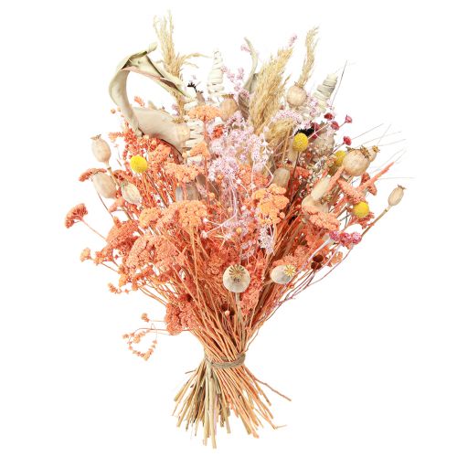 kohteita Kimppu kuivattuja kukkia oranssi aprikoosi kuiva kimppu 45cm 80g