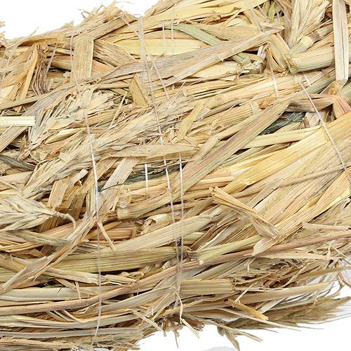 Floristik24 Olkiseppele 60/12cm