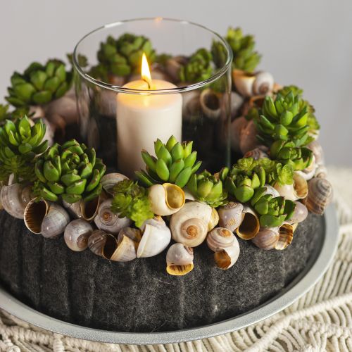 kohteita Mehevä Echeveria tekovihreä kasvi vihreä Ø5,5cm 12,5cm