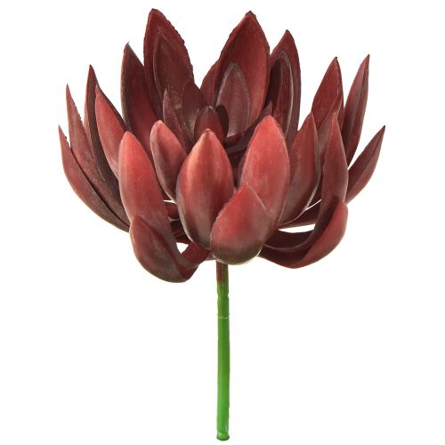Floristik24 Mehevä Echeveria keinotekoiset vihreät kasvit punainen Ø12cm 19,5cm