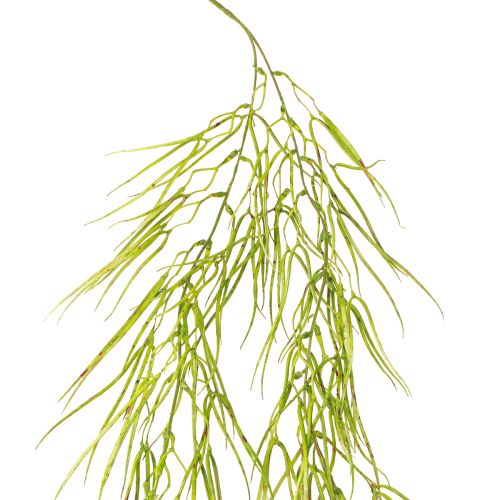 Mehevä riippuvihreä 145cm