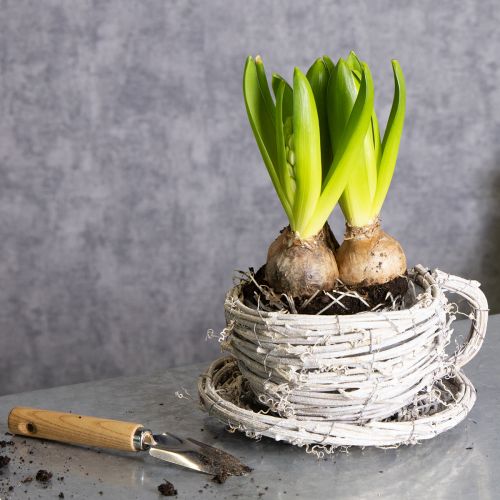 kohteita Luonnonmateriaalista valmistettu teekuppi, jossa on maalaismainen viehätysvoima, sopii erinomaisesti sisätilojen sisustukseen 13 cm