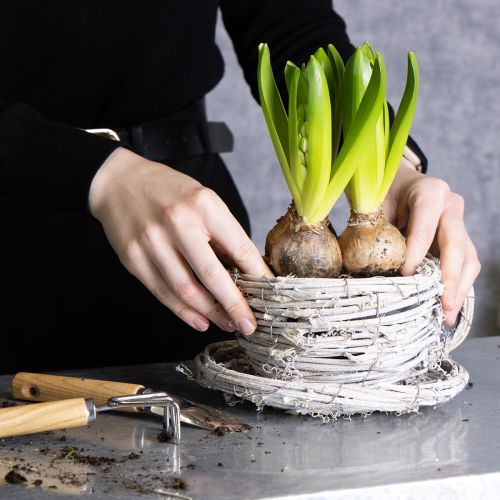 kohteita Luonnonmateriaalista valmistettu teekuppi, jossa on maalaismainen viehätysvoima, sopii erinomaisesti sisätilojen sisustukseen 13 cm