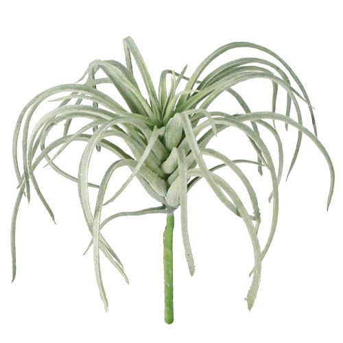 Tillandsia meheviä keinovihreitä kasveja 13cm