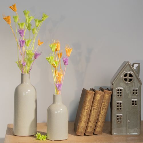 kohteita Kuivattuja Nigellan kukkia, ihastuttava luonnollinen huonekoriste kotiin, 70 cm, 50 g