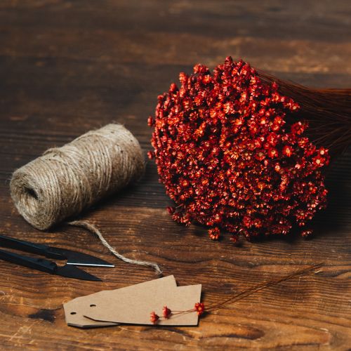 kohteita Kuivakukkakimppu, ihastuttava lisä maljakoihin tai asetelmiin, 44 cm