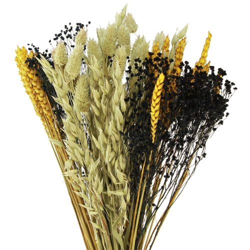 Floristik24 Kuivakukkakimppu viljakuiva kimppu keltasininen 50cm
