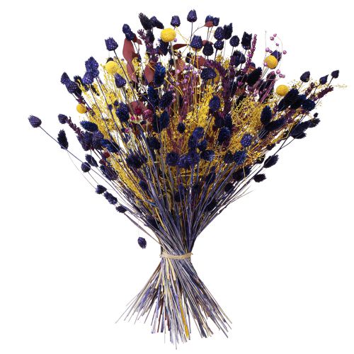 kohteita Kuiva kimppu keltainen violetti vihreä craspedia eucalyptus 53cm 150g