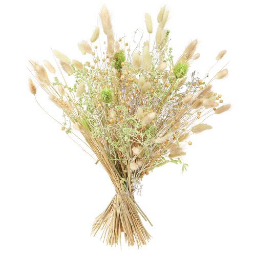 kohteita Kuiva kimppu kauraa pellava minttu luonnonvalkoinen 40cm 80g
