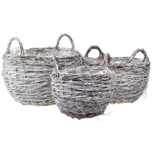 Floristik24 Pajukorisarja valkoisena pestynä - 3 kokoa (42cm, 36cm, 26cm) - Monipuolinen koristeluun ja säilytykseen - 3 kpl:n setti