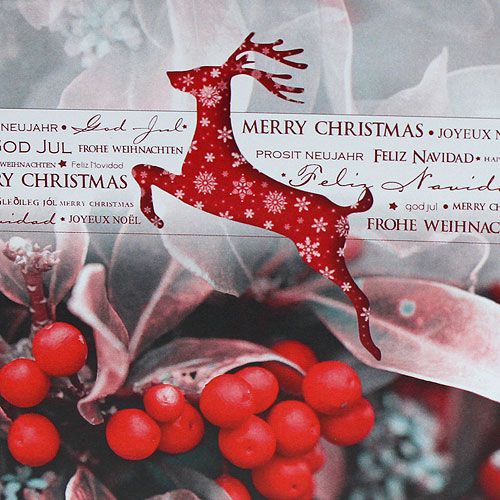 Floristik24 Joulukortit 12,5x12,5cm 6kpl