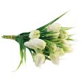 Floristik24 Fritillaria Valkoinen shakkilautakukka Tekokukat 38cm 6kpl