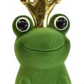 Floristik24 Koristesammakko, sammakkoprinssi, kevätkoristeet, sammakko kultakruununvihreällä 40,5cm
