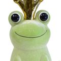 Floristik24 Koristesammakko, sammakkoprinssi, kevätkoristeet, sammakko kultakruunulla vaaleanvihreä 40,5cm