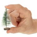 Keinotekoiset minijoulukuuset joulupöytäkoristeina, lumen peittämät, 6 cm, 12 kpl | Floristik24.fi