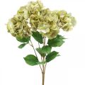 Floristik24 Hortensia kimppu keinovihreä, ruskea 5 kukkaa 48cm