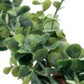 Floristik24 Keinotekoinen eukalyptusseppele koristeellinen seppele vihreä 150cm