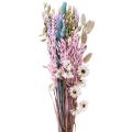 Floristik24 Kuivatut kukkakimppu olkikukat Phalaris-jyvä 58cm