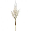 Floristik24 Pampasin ruoho valkoinen kerma keinotekoinen kuivanurmi koriste 82cm