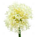 Floristik24 Koriste sipuli Allium keinotekoinen valkoinen 51cm 4kpl