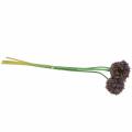 Floristik24 Koriste sipuli Allium keinotekoinen purppura Ø7cm K58cm 4kpl