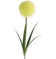 Floristik24 Allium keltainen 68cm