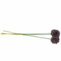 Floristik24 Koriste sipuli Allium keinotekoinen purppura 70cm 3kpl