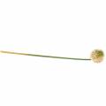 Floristik24 Koriste sipuli Allium keinotekoinen vaaleanpunainen / vihreä Ø8cm 58cm